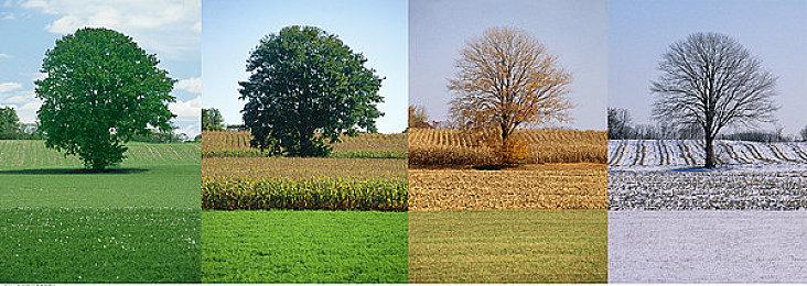 罗素兄弟创办独立制作公司邀游戏行业资深人士加盟