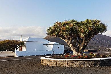 『DEATHVERSE: LET IT DIE』 期间限定开放Beta 测试